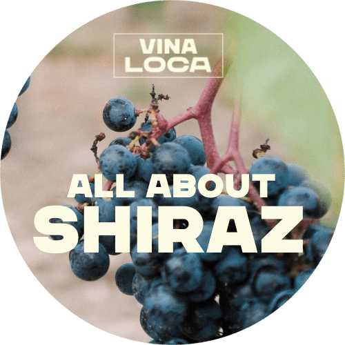All About Shiraz logo 