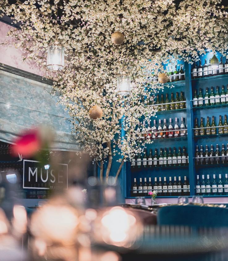 Shaleves of wine and indoor tree in restaurant