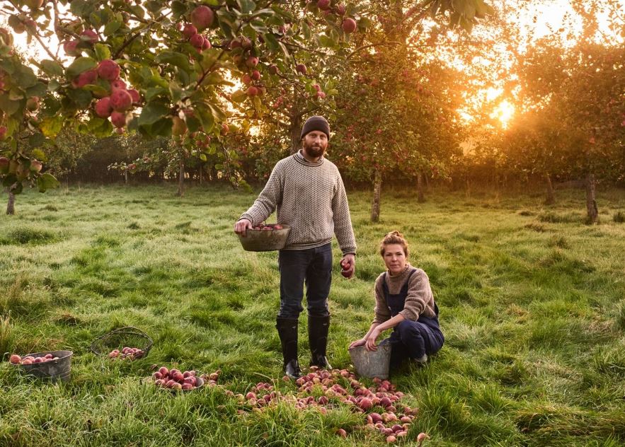 Wilding Cider in orchard