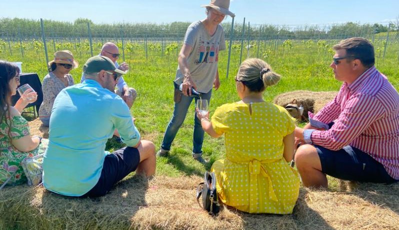 Group being poured a glass of wine in a vineyard