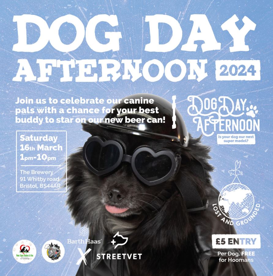 Dog Day Afternoon poster