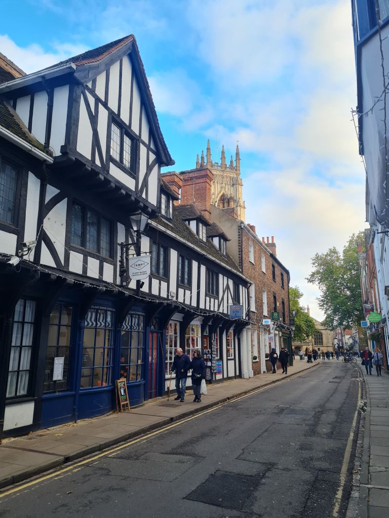 Row of historic buildings with York Minster in background