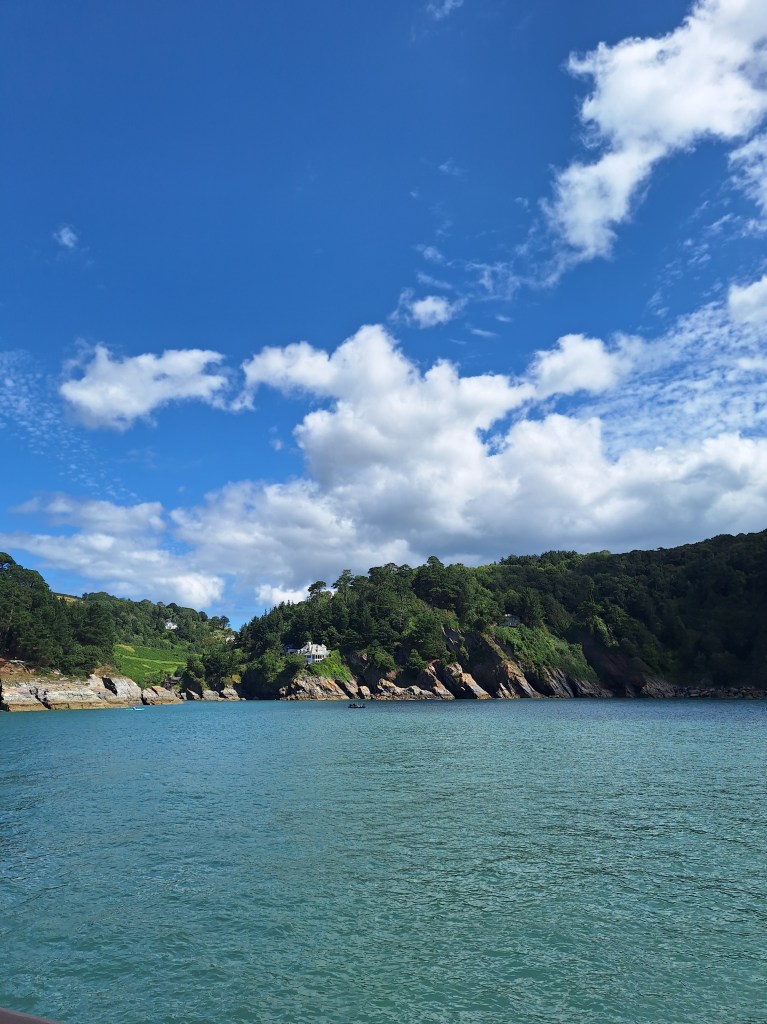 A view of the coastline with trees and cliffs and blue water