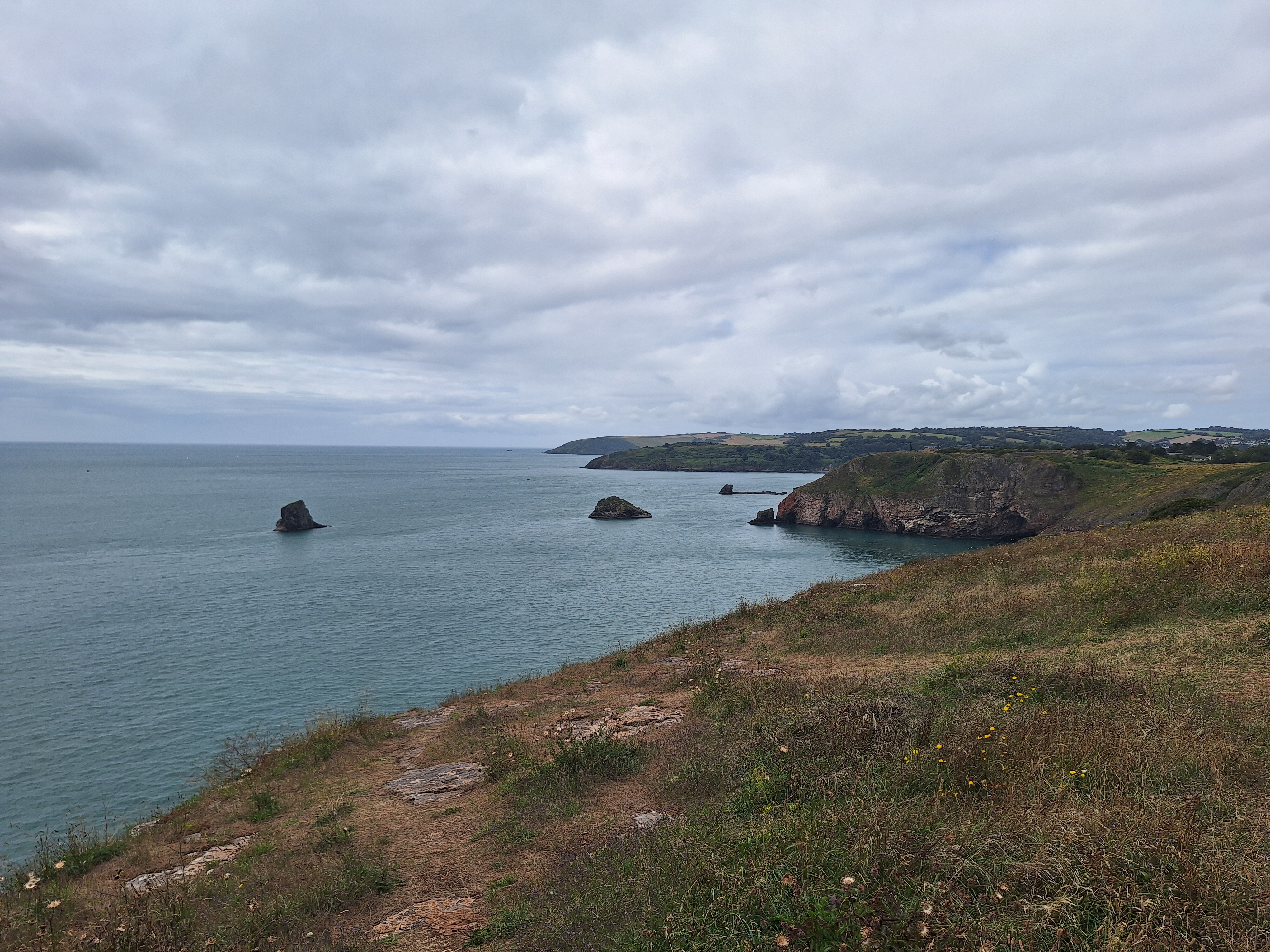 View along coastline from Berry Head near Brixham