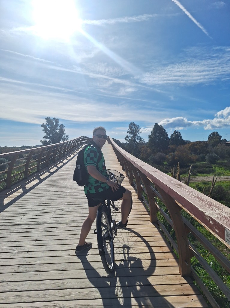 A bridge across the lakes in the nature reserve