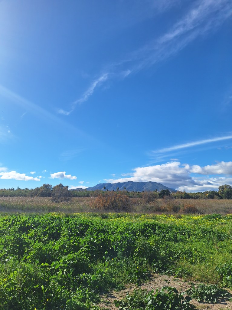 Reserva Natural del Rio Guadalhorce