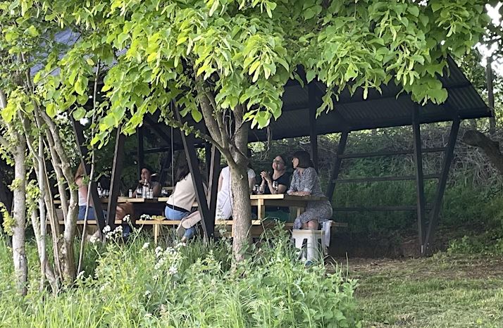 Limeburn Hill Vineyard